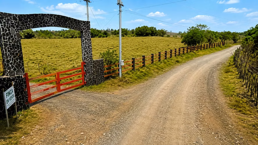 Venta de Finca en San Francisco, Veraguas, 13 hectáreas