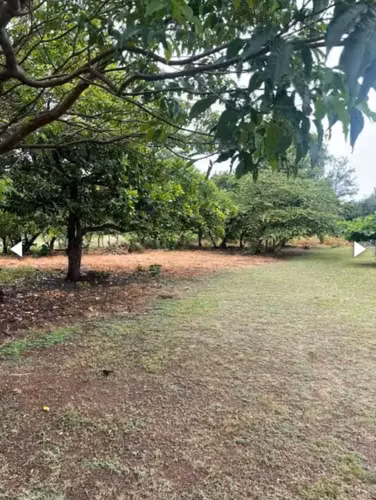 Terreno en Venta – Aguadulce (Pocrí) - Imagen 6