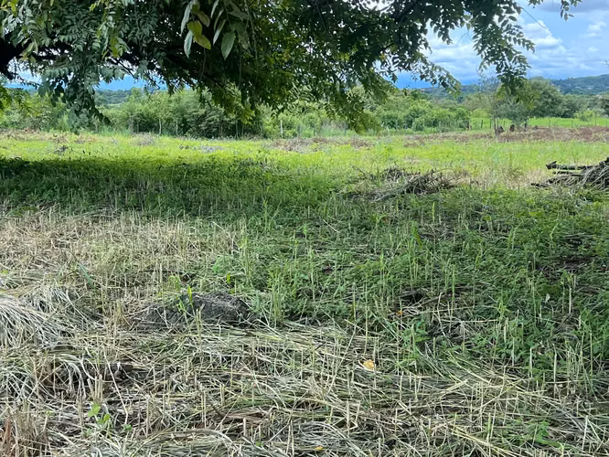 TERRENO COMERCIAL | SANTIAGO DE VERAGUAS