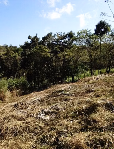 VENDO FINCA SEMBRADA EN TECA CON REFORMA AGRARIA CERRO CAMA