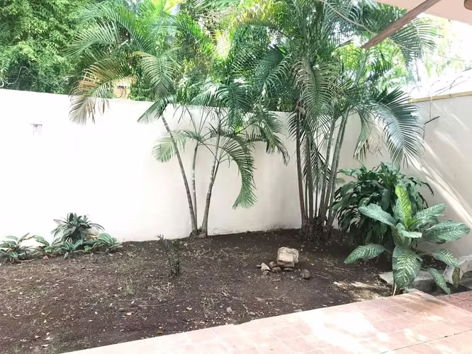 VENTA CASA HATO PINTAO