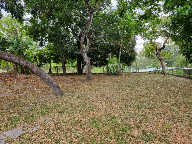 Vendo o alquilo casa en el Higo de San Carlos - Imagen 14