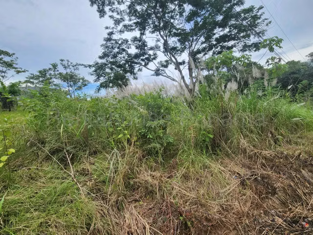 Venta de terreno Nuevo Chorrillo, Panamá Oeste