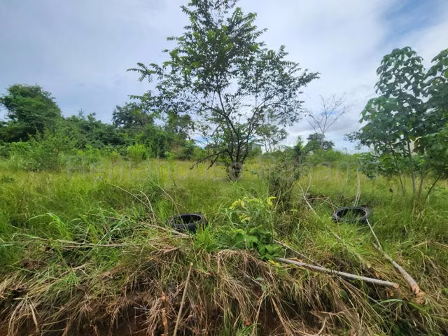 Venta de terreno Nuevo Chorrillo, Panamá Oeste