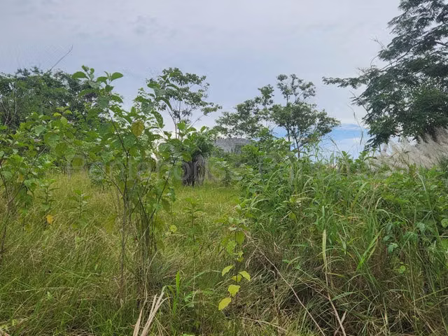 Venta de terreno Nuevo Chorrillo, Panamá Oeste
