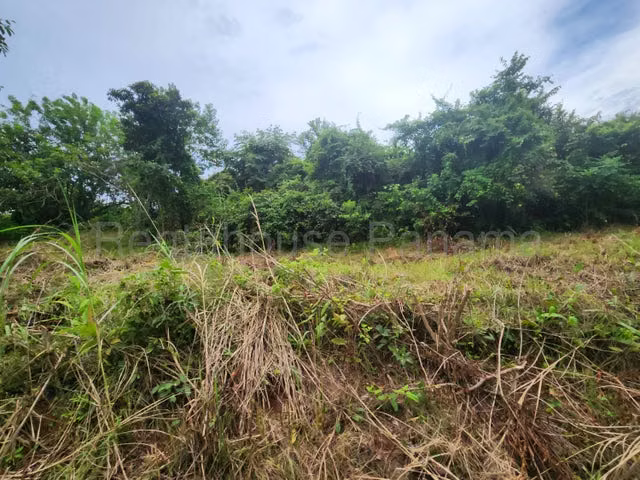 Venta de terreno Nuevo Chorrillo, Panamá Oeste
