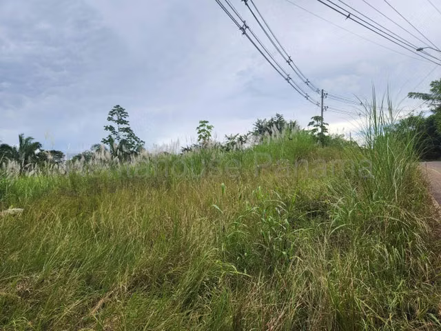 Venta de terreno comercial Nvo Chorrillo, Panamá Oeste