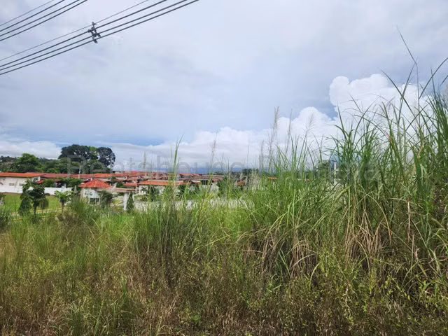 Venta de terreno comercial Nvo Chorrillo, Panamá Oeste