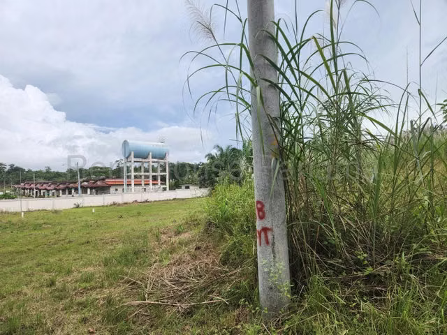 Venta de terreno comercial Nvo Chorrillo, Panamá Oeste