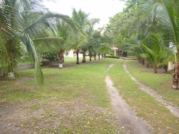 VEENTA CASA TERRENO NUEVA GORGONA