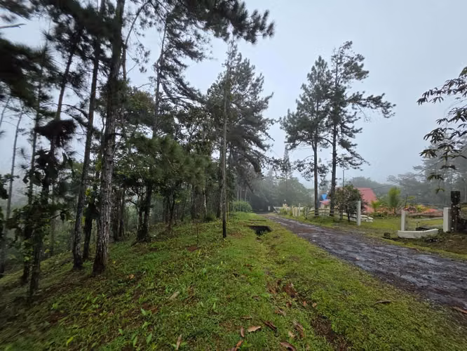 Lote en venta en Cerro Azul - Imagen 3