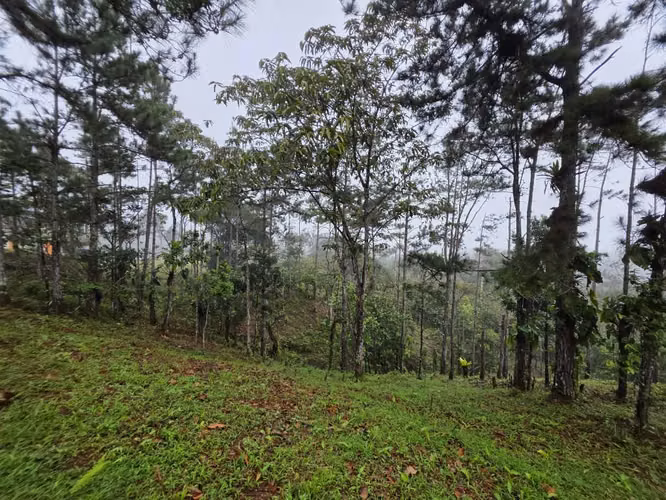 Lote en venta en Cerro Azul - Imagen 5
