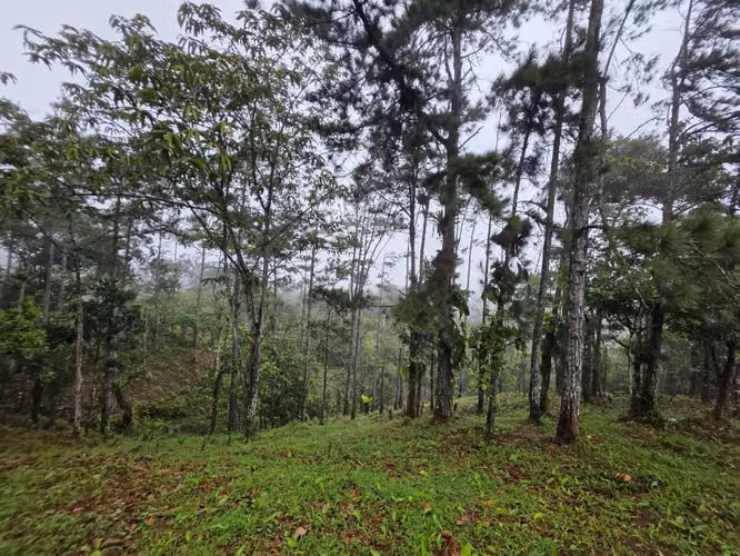 Lote en venta en Cerro Azul - Imagen 4