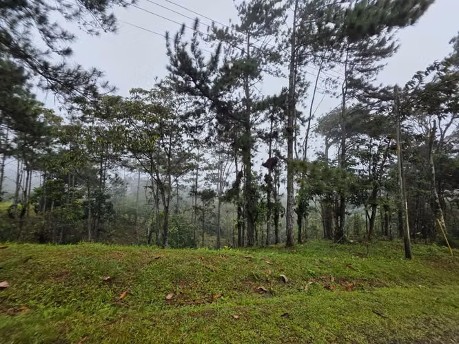 Lote en venta en Cerro Azul - Imagen 2