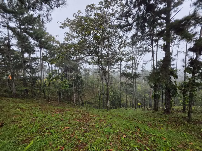 Lote en venta en Cerro Azul - Imagen 6