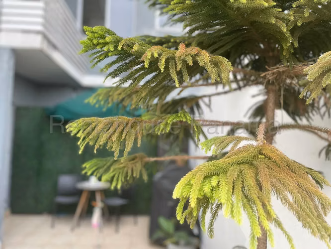 VENTA DE APARTAMENTO EN  SAN FRANCISCO HQ - Imagen 16
