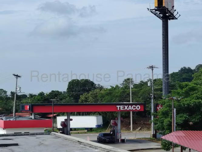 Alquiler Local Comercial Villa Lobos, Pedregal, Terranova Place, Panamá. - Imagen 3