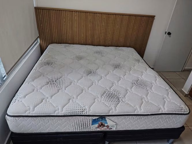 Cama kind- Gran Oferta