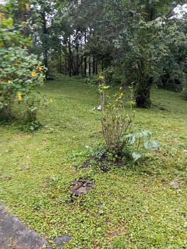 SE VENDE TERRENO EN ALTOS DEL MARÍA