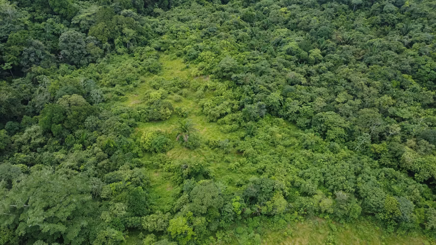 TERRENO EN CHORRERA IDEAL PARA PROYECTO | 23.7 HA | LAS YAYAS MV005 - Imagen 5