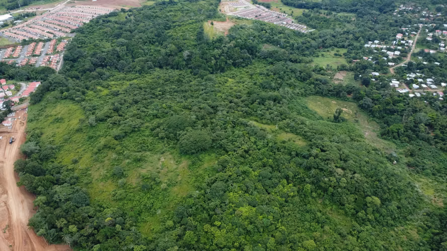 LAND IN CHORRERA IDEAL FOR DEVELOPMENT | 23.7 HA | LAS YAYAS MV005