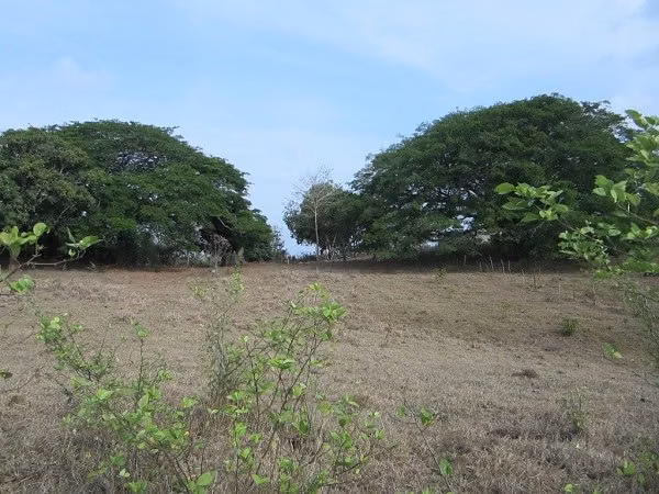 TERRENO EN CHORRERA IDEAL PARA PROYECTO | 23.7 HA | LAS YAYAS MV005 - Imagen 8