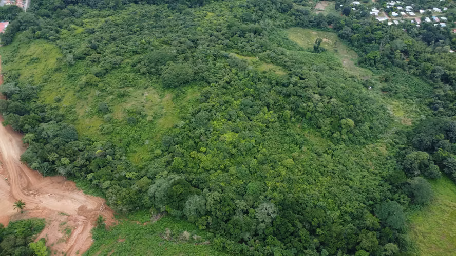 TERRENO EN CHORRERA IDEAL PARA PROYECTO | 23.7 HA | LAS YAYAS MV005 - Imagen 3