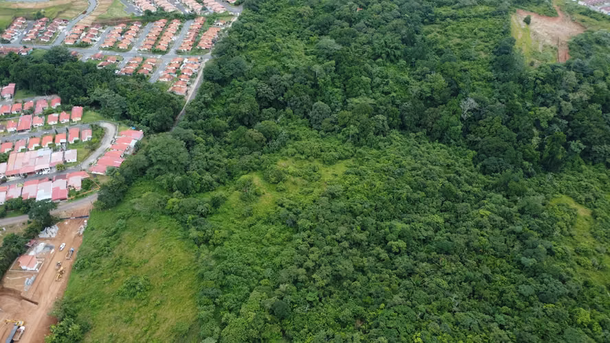 TERRENO EN CHORRERA IDEAL PARA PROYECTO | 23.7 HA | LAS YAYAS MV005 - Imagen 2