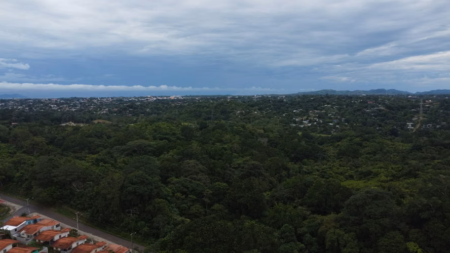 TERRENO EN CHORRERA IDEAL PARA PROYECTO | 23.7 HA | LAS YAYAS MV005 - Imagen 6