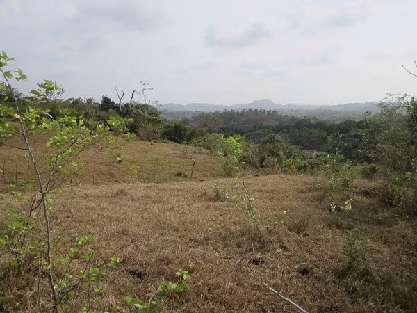 TERRENO EN CHORRERA IDEAL PARA PROYECTO | 23.7 HA | LAS YAYAS MV005 - Imagen 9