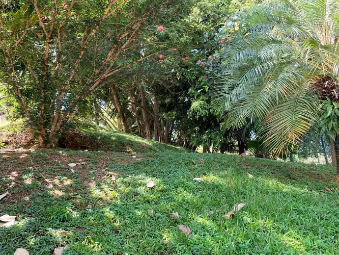 ALBROOK Una Casa, Dos Formas de Vivirla