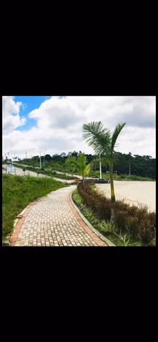 Vendo lote en el proyecto de Green Valley panamá - Imagen 8