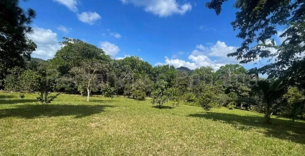 Venta de Terreno en Cermeño Los Cuquines NS - Imagen 19