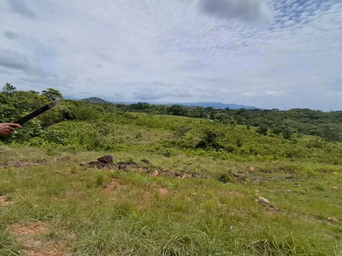 Terreno  Venta en Punta Barco