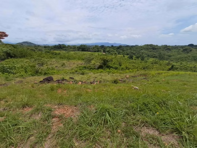 Terreno  Venta en Punta Barco