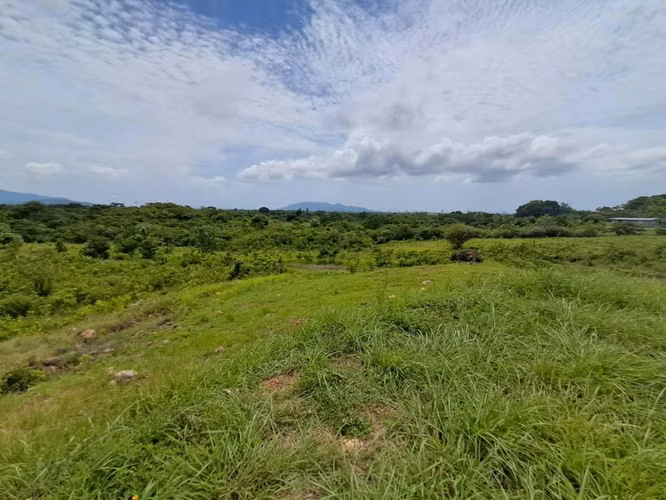 Terreno  Venta en Punta Barco