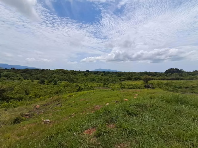Terreno  Venta en Punta Barco