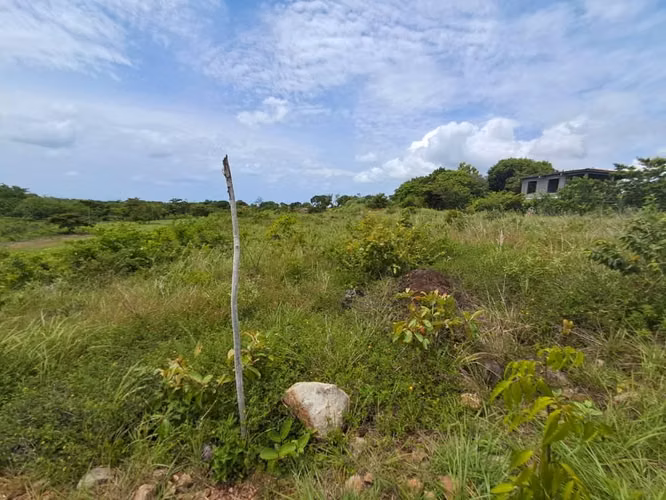 Terreno  Venta en Punta Barco