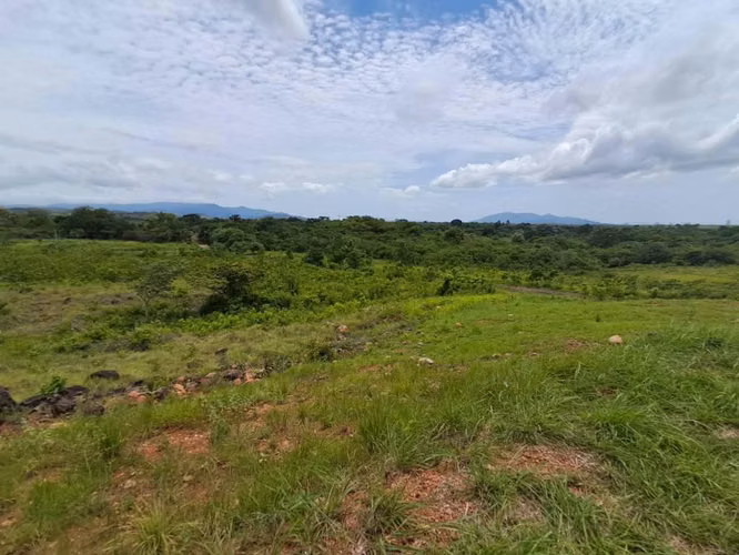 Terreno  Venta en Punta Barco