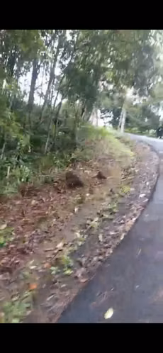 SE VENDE LOTE EN ALTOS DE CERRO AZUL - Imagen 5