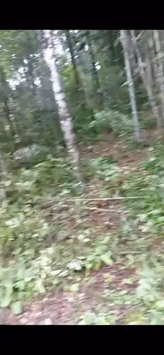 SE VENDE LOTE EN ALTOS DE CERRO AZUL - Imagen 7