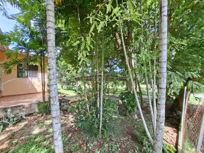 VENTA DE CASA EN CORONADO DDB26-327 - Imagen 14