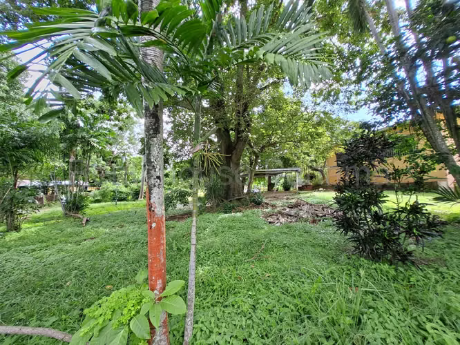 VENTA DE CASA EN CORONADO DDB26-327 - Imagen 15