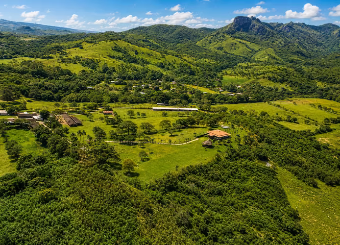 Venta de Finca en Sajalices, Chame, 605 hectáreas, con frente a la via interamericana