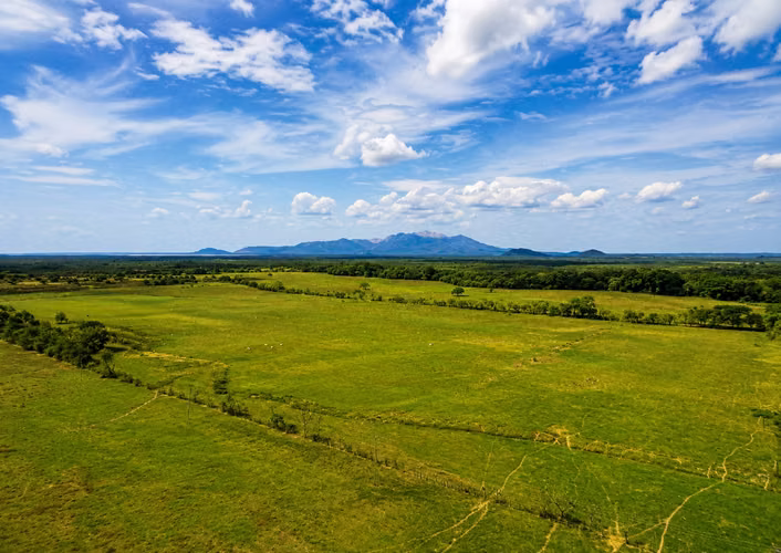Venta de Finca en Sajalices, Chame, 605 hectáreas, con frente a la via interamericana