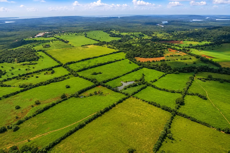 Venta de Finca en Sajalices, Chame, 605 hectáreas, con frente a la via interamericana