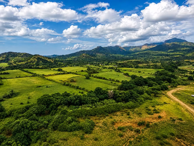 Venta de Finca en Sajalices, Chame, 605 hectáreas, con frente a la via interamericana
