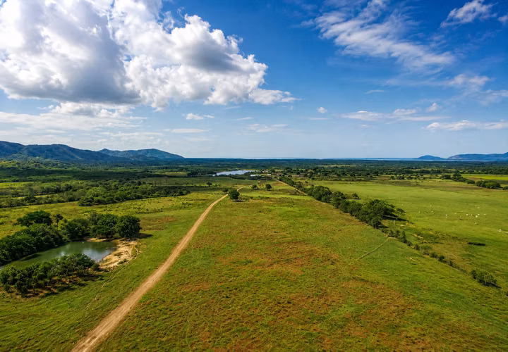 Venta de Finca en Sajalices, Chame, 605 hectáreas, con frente a la via interamericana