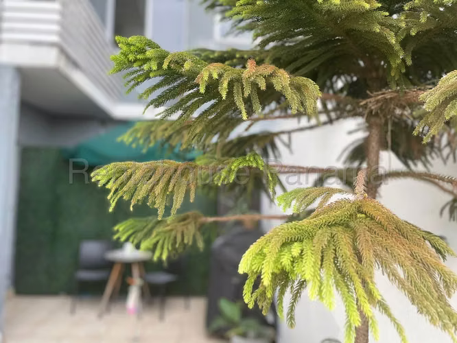 Apartamento en Venta en San Francisco YDU - Imagen 18