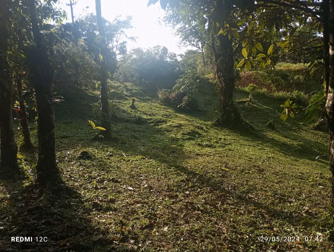Se vende Terreno en Altos del María – Navarra | 2,670 m²
